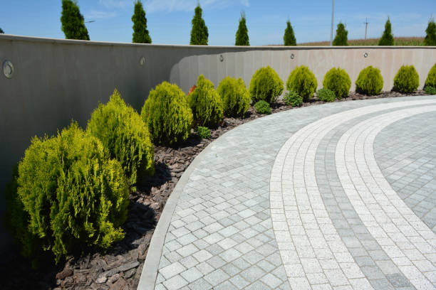 Best Brick Driveway Pavers  in Connerton, FL